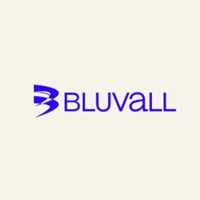 Bluvall logo